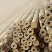 Natural materials for sew-on buttons.